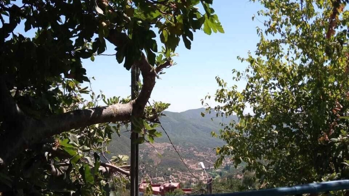 Moqrisset House | Nefzi Guest House