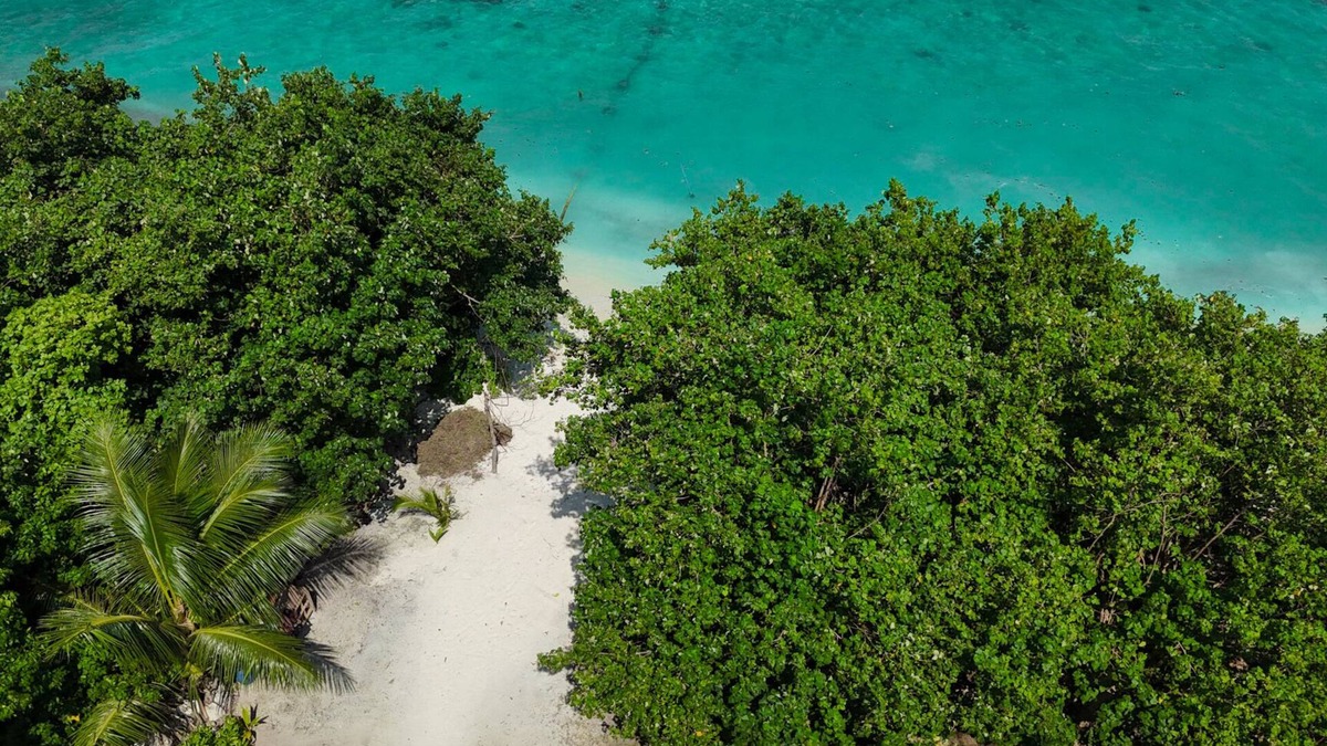 Kamadhoo Hotel | Nest by Hawks