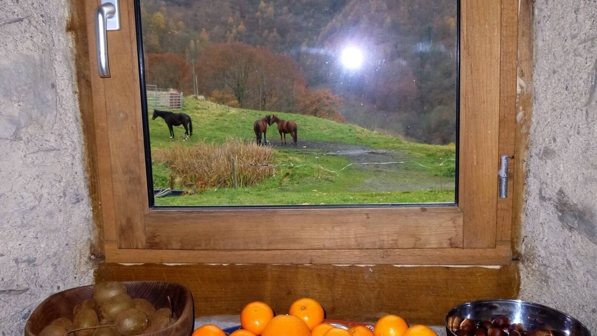 Bagneres-de-Bigorre House | Nestled snugly into the foothills of the French Hautes-Pyrenees.