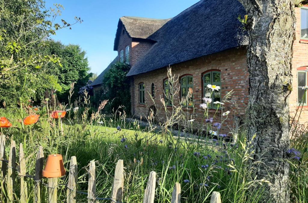 Braderup Apartment | NEU Feriendomizil Nordfriesland Pur