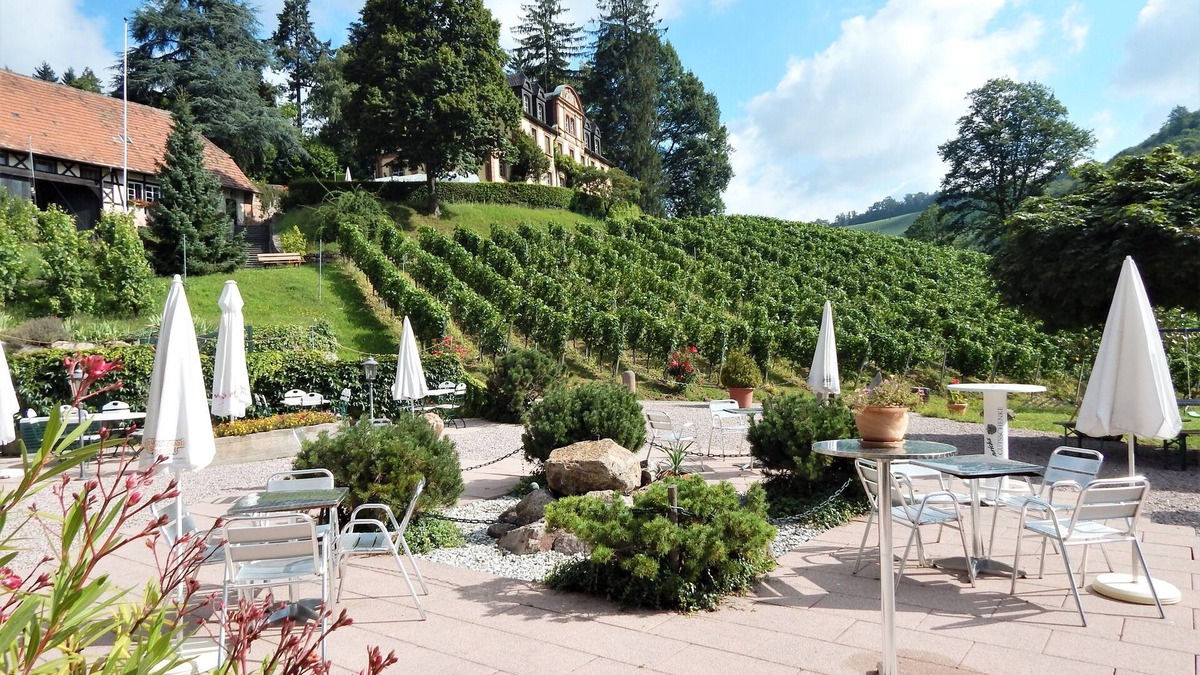 Durbach Apartment | Neveu Winery Josephsberg 2