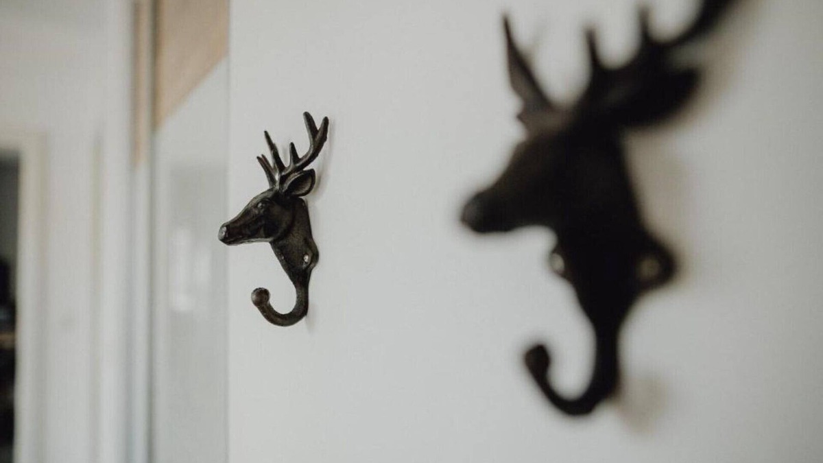 Forchheim Apartment | New Apartments (No.5) - Stadt Land Fluss - by Zollhaus -Resturant zum Zollhaus