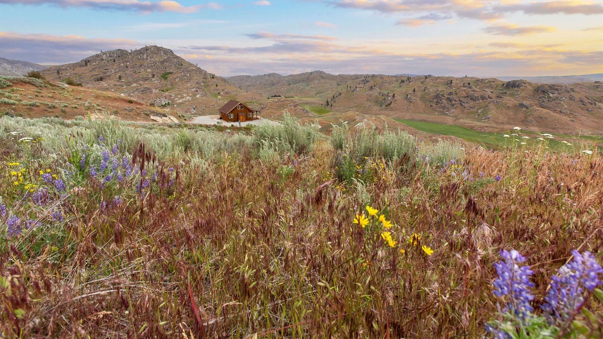 Brewster Cabin | NEW: Beautiful Mountain Views, Abundant Wildlife & Dark, Dark Skies