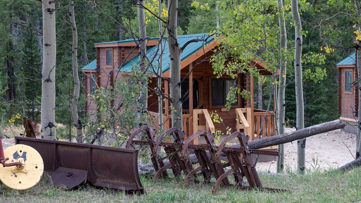 Granby Cabin | New Cabins in the Mountains, Walk to Lake, Pet Friendly, Closet to Lake Granby!