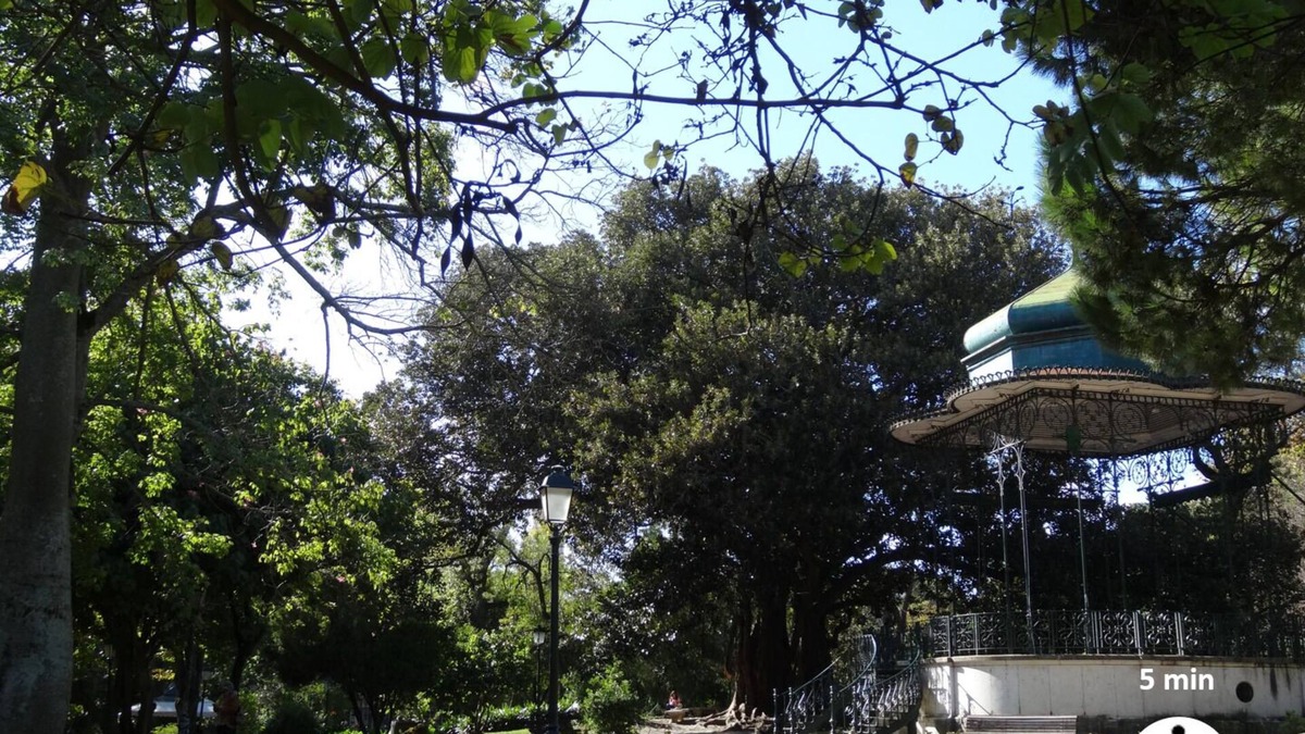 Santo Condestavel Apartment | NEW! Charming Ourique Field Apartment Near the Famous 28 Tram (King Bed)