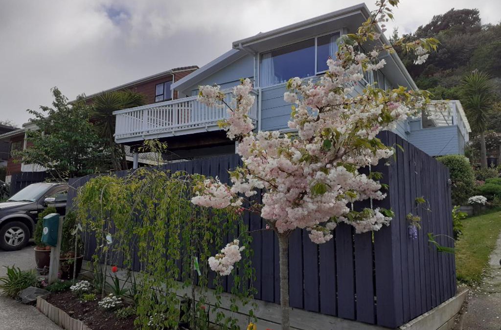 Porirua Apartment | New, Cosy & Private 1-Bedroom & Living Flat