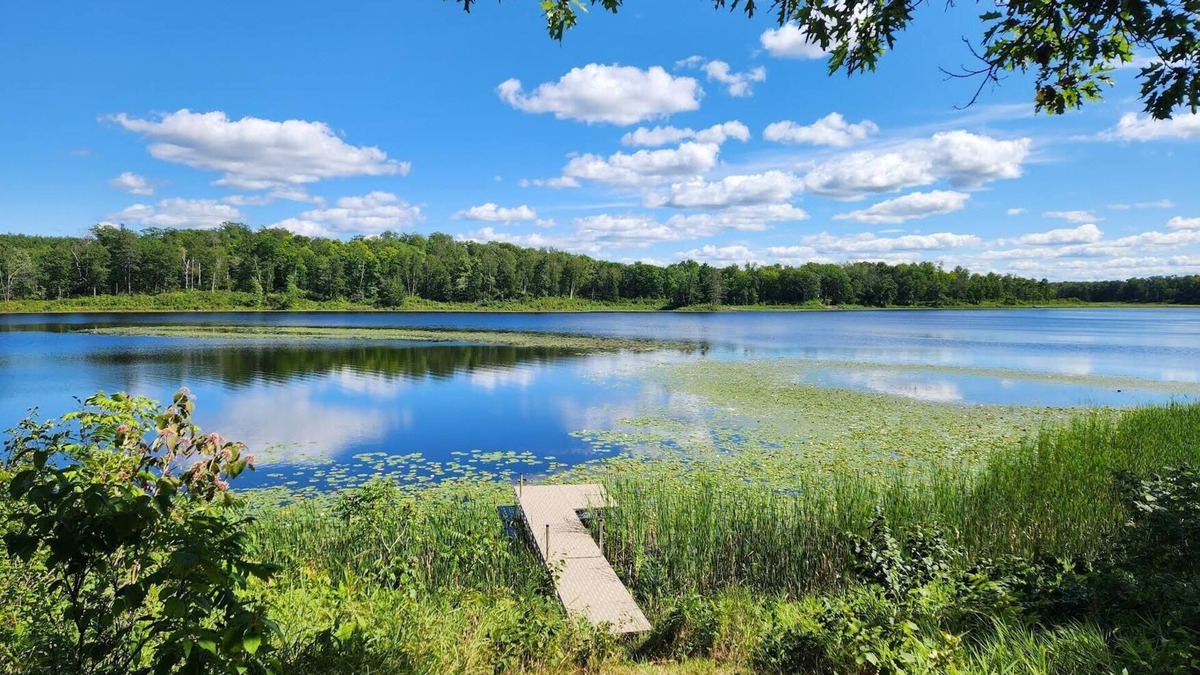 Walker House | New, cozy and quiet 2-bedroom lake house near Walker/Leech Lake