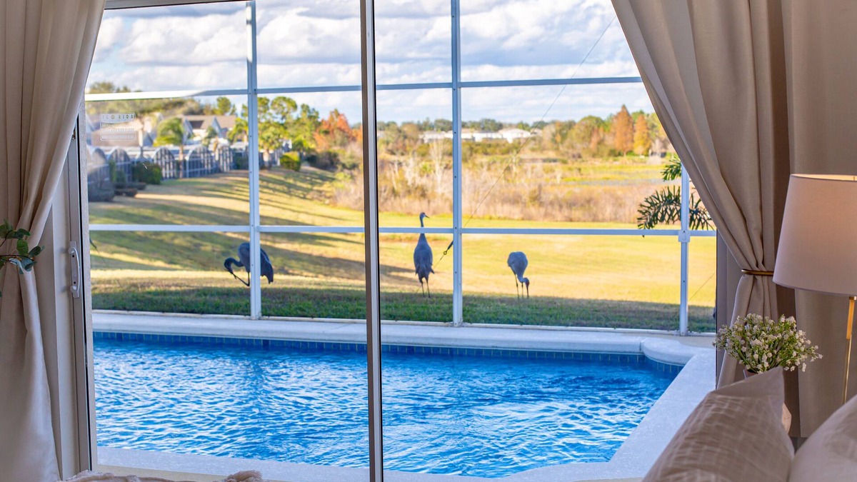 West Haven House | New! Delightful Retreat close to Disney - 2 Kings. Free heated pool.
