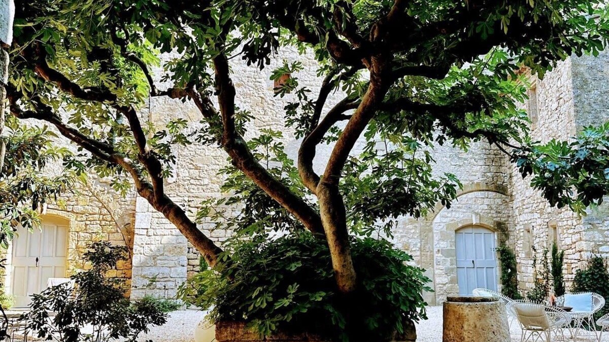 Uzes Other | New! Historic Chateau near Uzès, 3 apartments, courtyard garden, and a pool