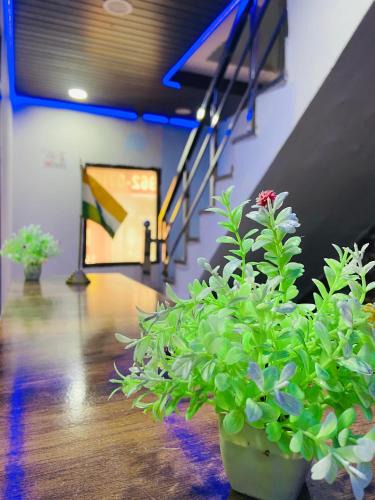 Thanesar Hotel | New Hotel Preet Kurukshetra