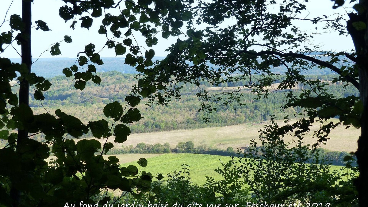 Sevry House | New house on the edge of a large forest, large garden,very quiet, beautiful area