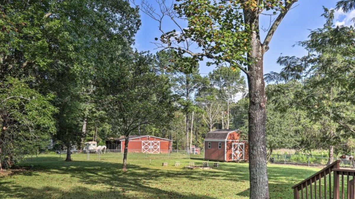 Chapin Other | New! Peaceful retreat on 13 Acres near Lake Murray. Come watch the horses graze!