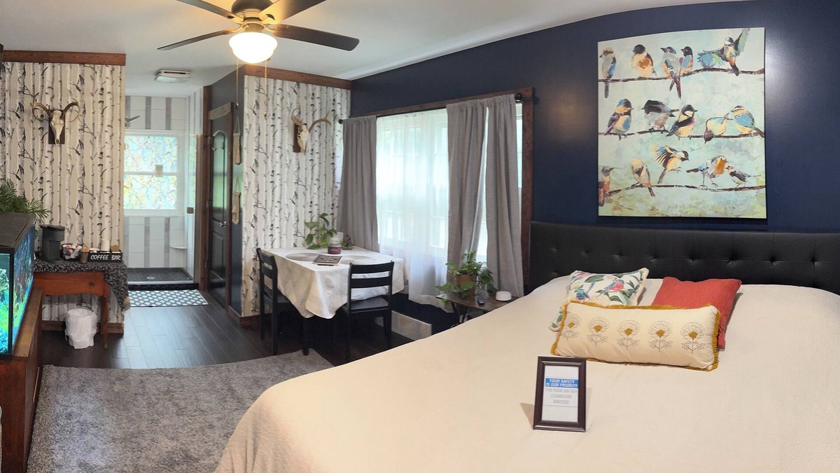 Rochester Apartment | New/Quiet/Woodsy n2 min-490/590-City