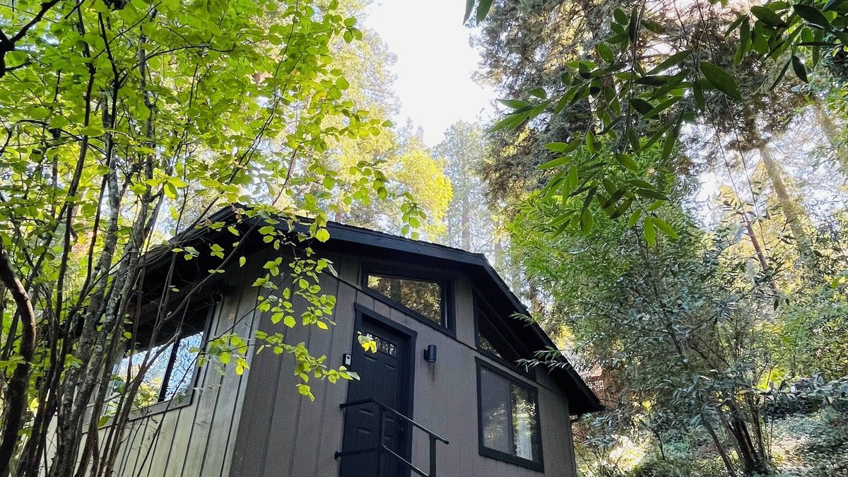 Camp Meeker Cabin | NEW - Relaxing Retreat with Hot Tub in the Woods