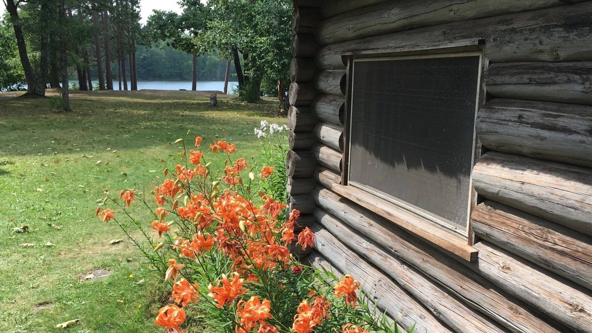 Land O Lakes Cabin | New! Sleeps 15 Level lawn to lake. Sandy beach. Two docks. Great fishing.