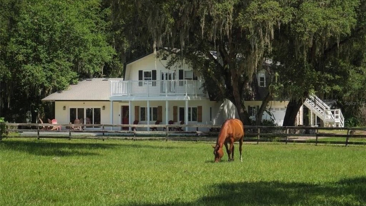Ocala Other | New! Stunning 10 ac Ocala Farm-WEC, HITS, SilverSprings, hour to Gainesville/UF