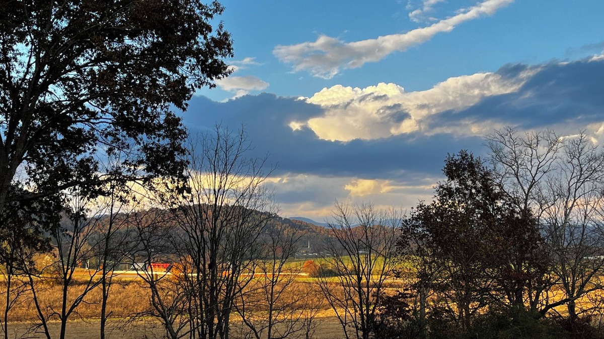 Franklin House | NEW Tiny Retreat: nModern Comfort & Mountain Charm