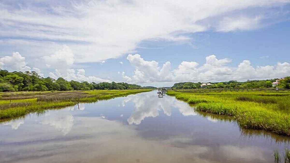 Johns Island House | NEW Waterfront, private dock, fully updated Johns Island home