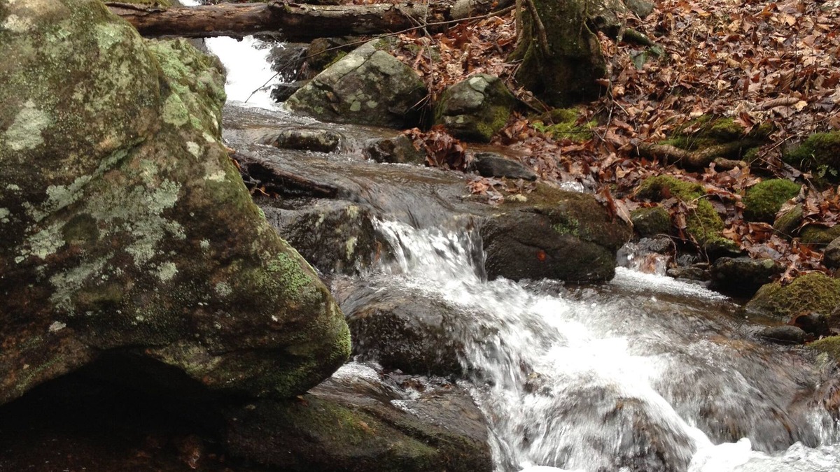 Cleveland Cabin | Newly added king bed, washer & dryer & updated bath! License # 002982