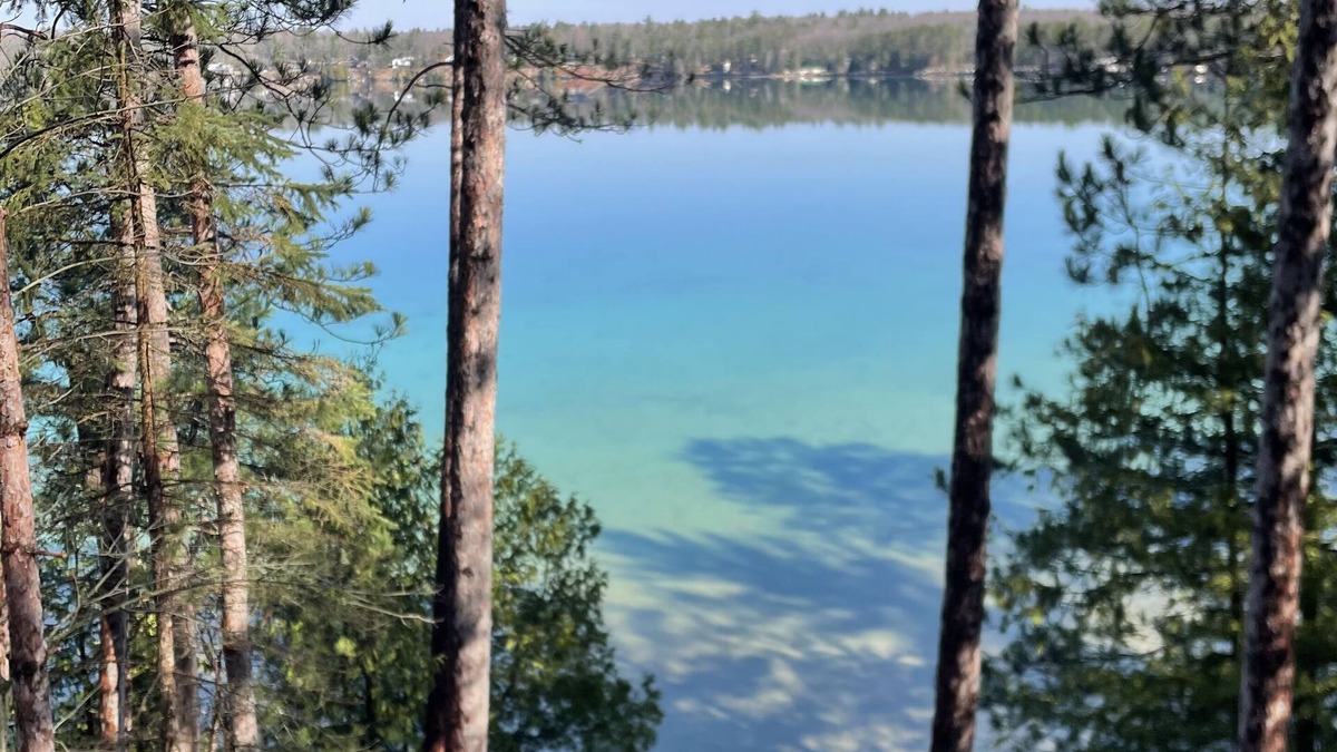Hillman House | Newly Remodeled! Peaceful and Private Lakefront, The Avalon Sunshine Cottage