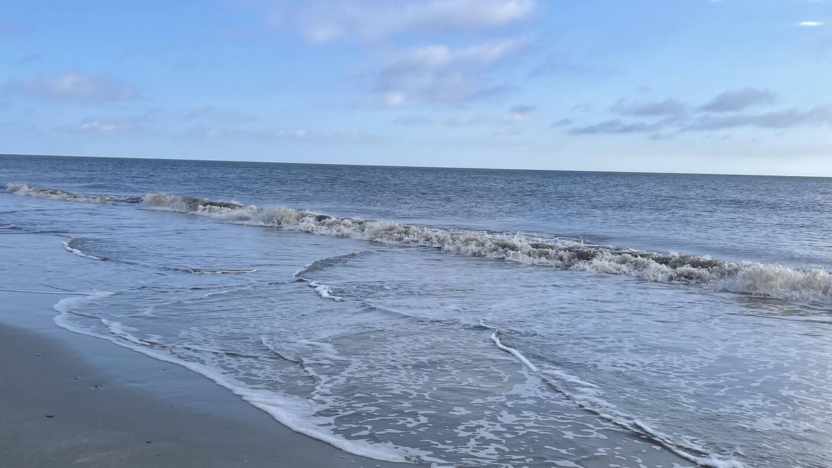 Saint Simons Island Condo | NEWLY RENOVATED Island Condo- All new kitchen, floors, upgrades and appliances