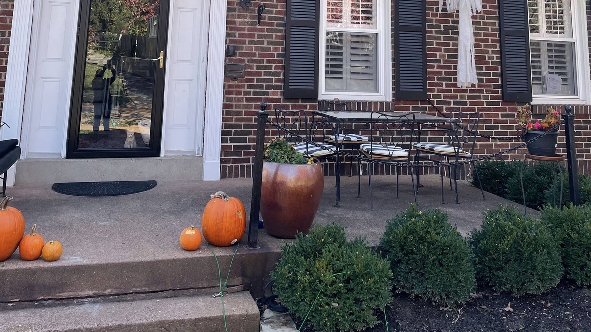 University City House | Newly renovated main home in upscale neighborhood.