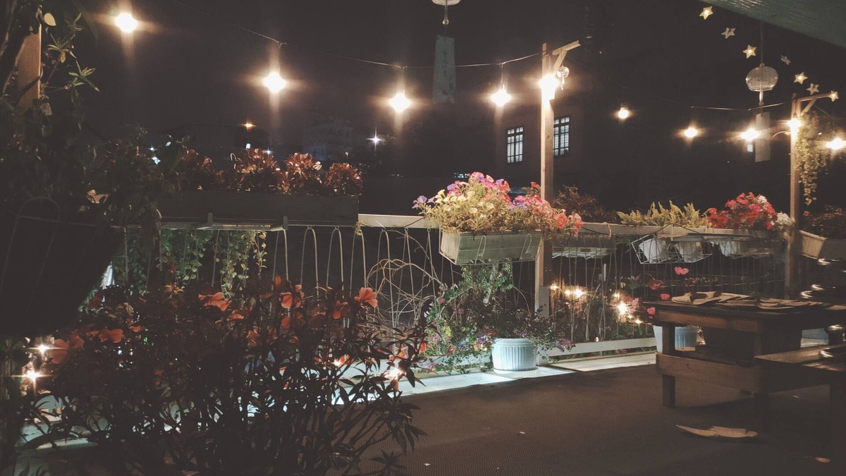 Phuong House | Ngôi nhà cuối hẻm yên tĩnh với tiếng chim hót, có ban công chill thật tuyệt vời