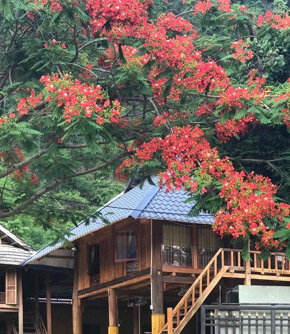 Mai Chau House | Nha Tan - Mai Chau Homestay & Tours