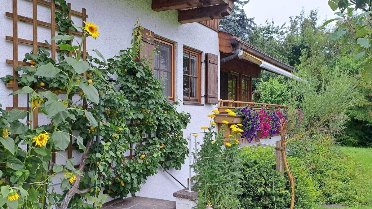 Maishofen Apartment | Nice apartment for 5 people with WIFI, TV, patio and pets allowed