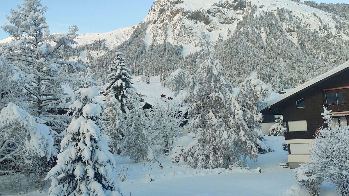 Lenk Apartment | Nice apartment for 5 people with WIFI and balcony