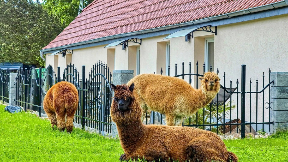 Schmatzin Apartment | Nice apartment in Schmatzin with WiFi