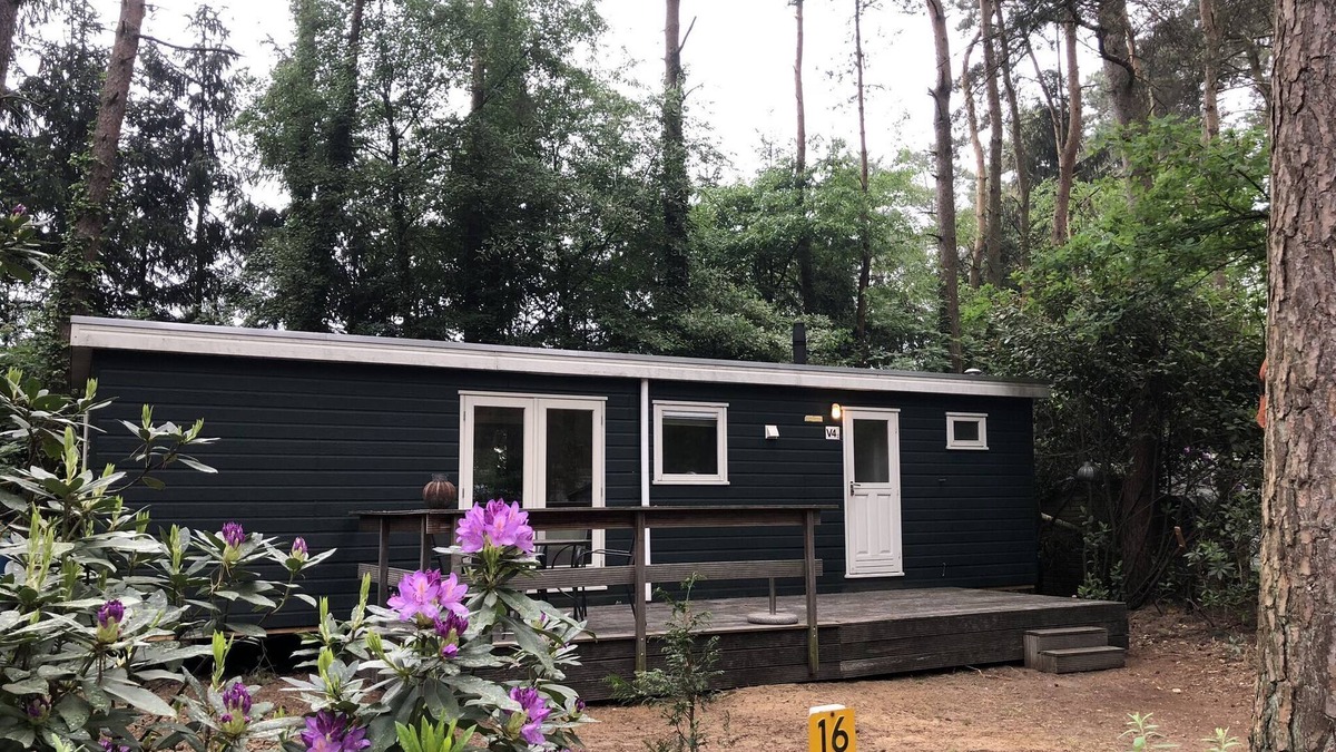 Wechelderzande Ski Chalet | Nice chalet with garden, in the Antwerp Kempen