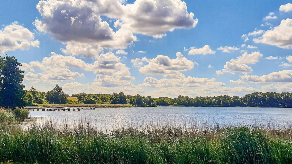 Gutzkow House | Nice home in Gützkow with WiFi