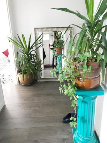 Mont-Mesly Apartment | Nice place 80m2- 2 to 8 beds- 30min from Paris 15min Aeroport Orly