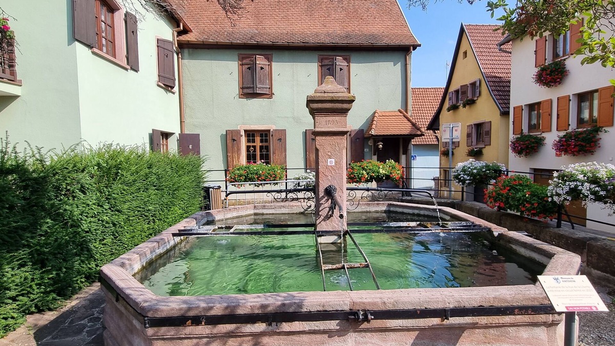 Kintzheim Apartment | Nid Douillet au Cœur du Vignoble Alsacien