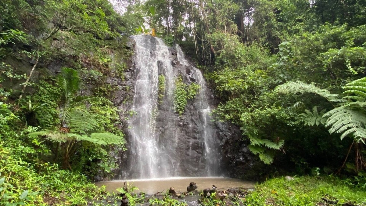 Nimbin Cabin | Nimbin Waterfall Retreat