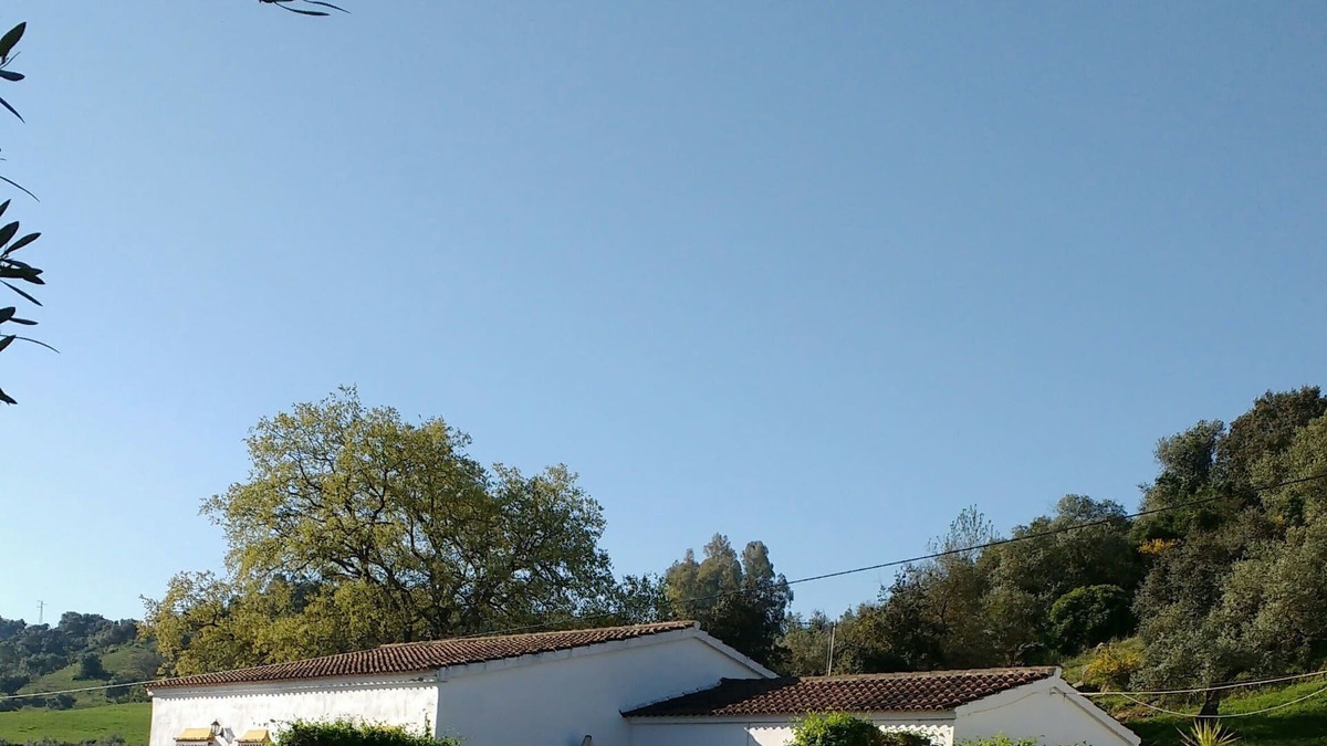 Algodonales Villa | No longer available