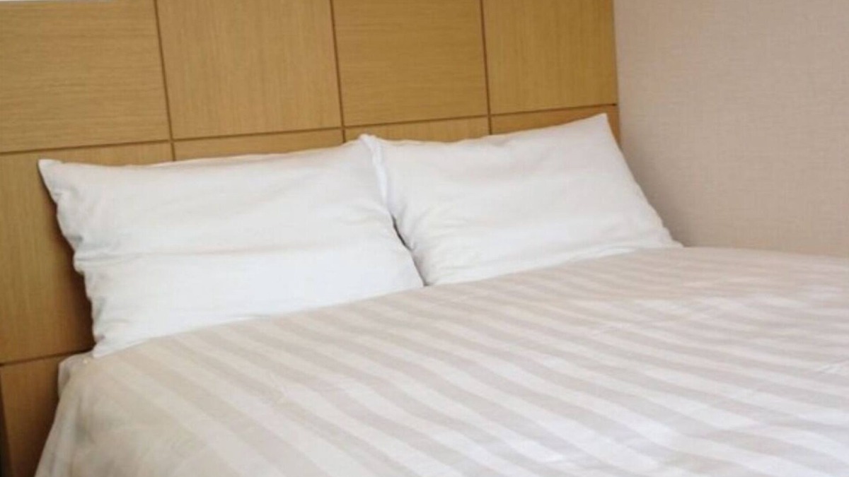 Misasa-cho Hotel | Nonsmoking Great value Superior semidouble r/Kurayoshi Tottori
