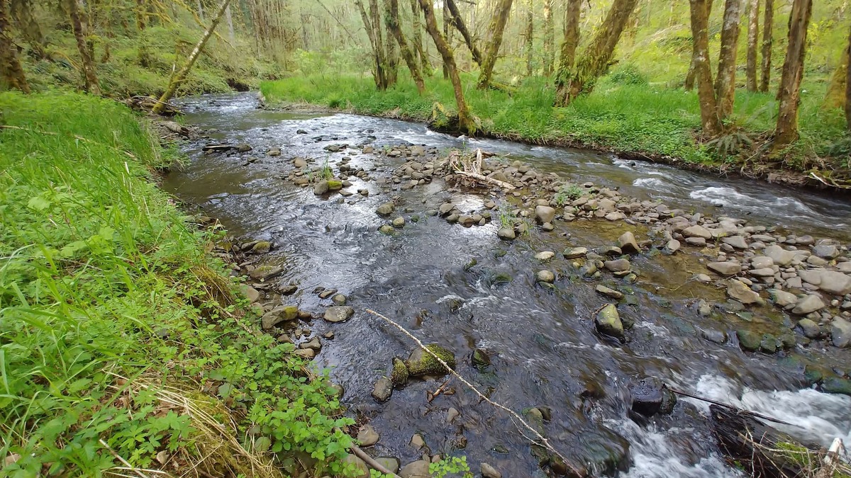 North Plains Ski Chalet | North Plains Home on a Stream in foothills of the Coast Range Mtns Unplug Zone