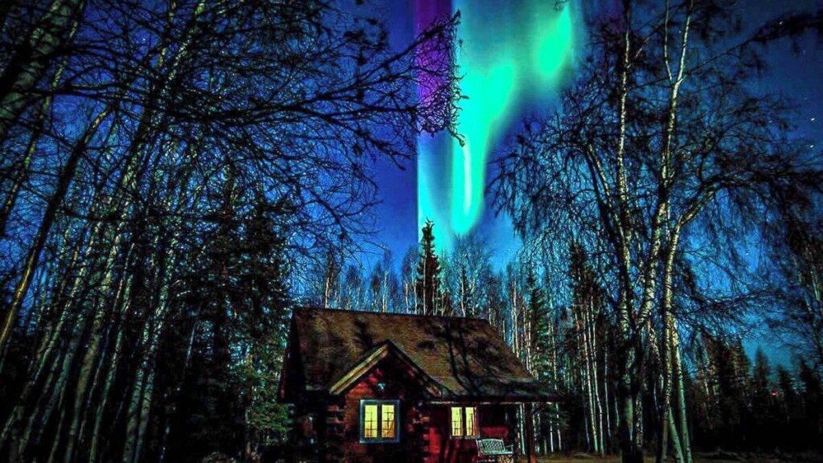 North Pole Cabin | Northern Lights Escape: Authentic Log Cabin with Private Sauna Experience