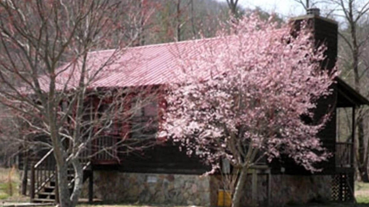 Choestoe Cabin | Nottely River Cabin- Fishing-Vogel St. ParknUnion County, GA STR License#004814