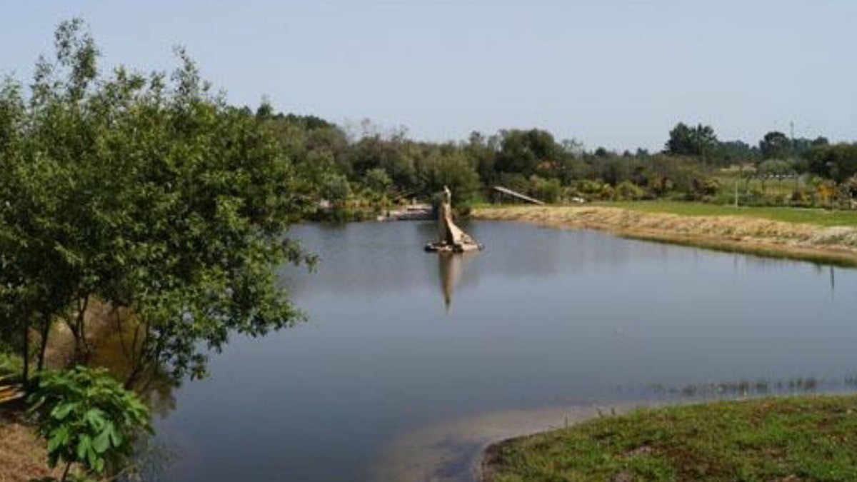 Palmela House | Novo Caravana, Pinhal Novo, Setubal near Lisbon