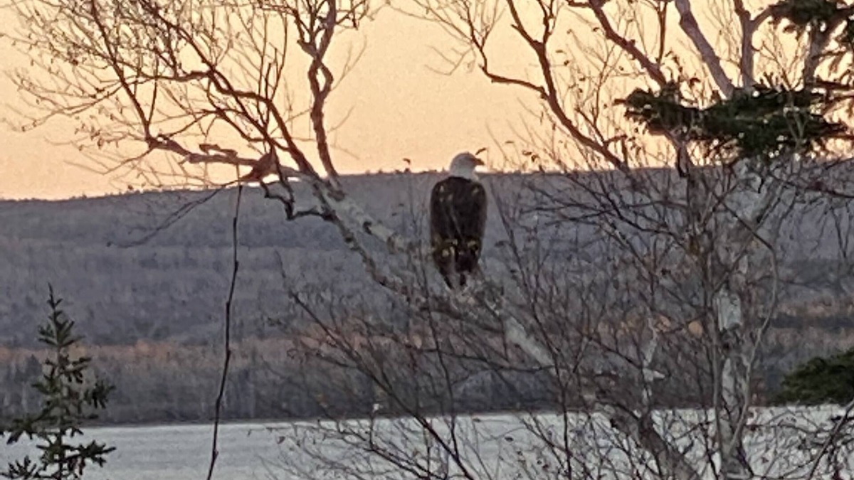 Glenville Cottage | Now booking for summer 2024!