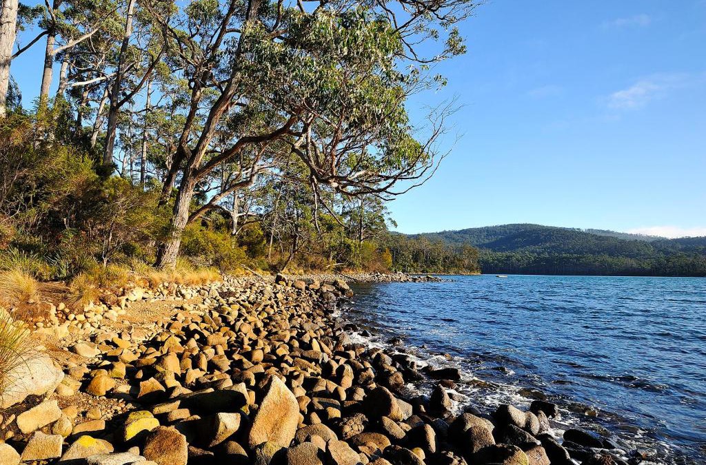 Port Arthur Resort | NRMA Port Arthur Holiday Park