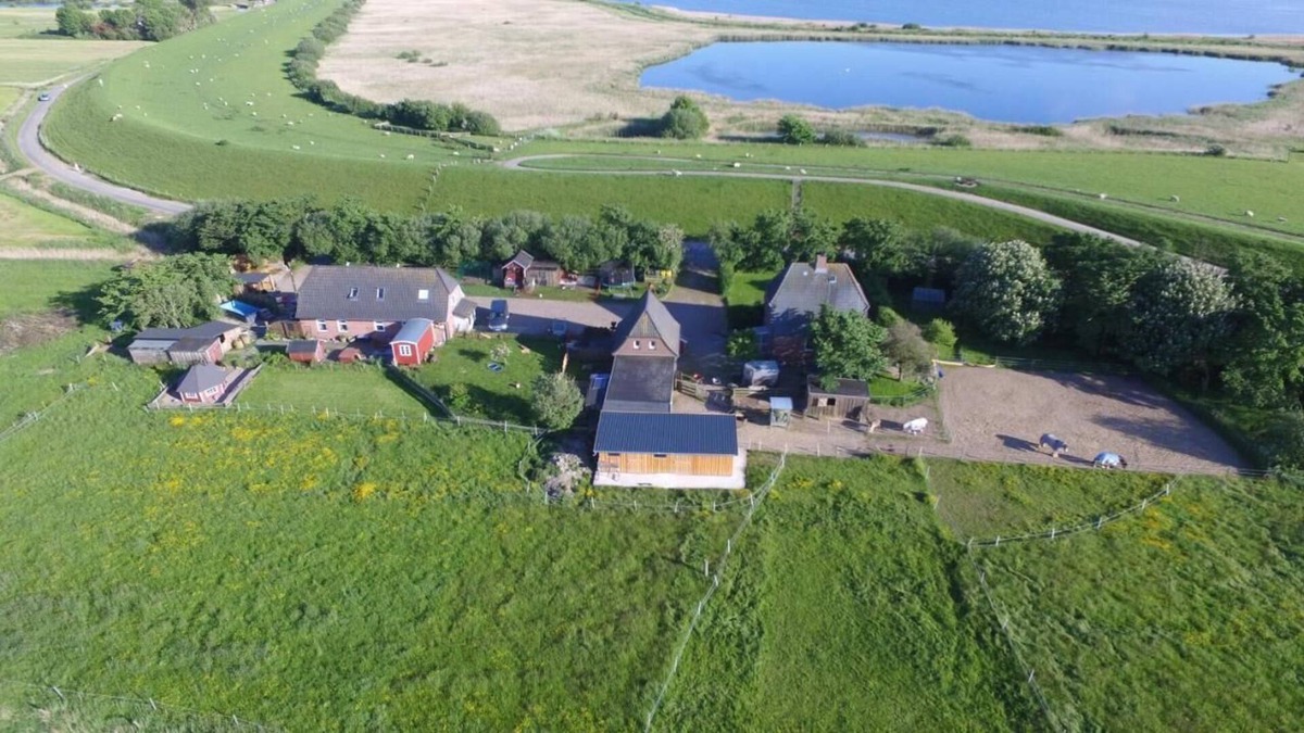 Hattstedtermarsch House | Nyehus - holiday farm and riding therapy Deichwind - North Friesland