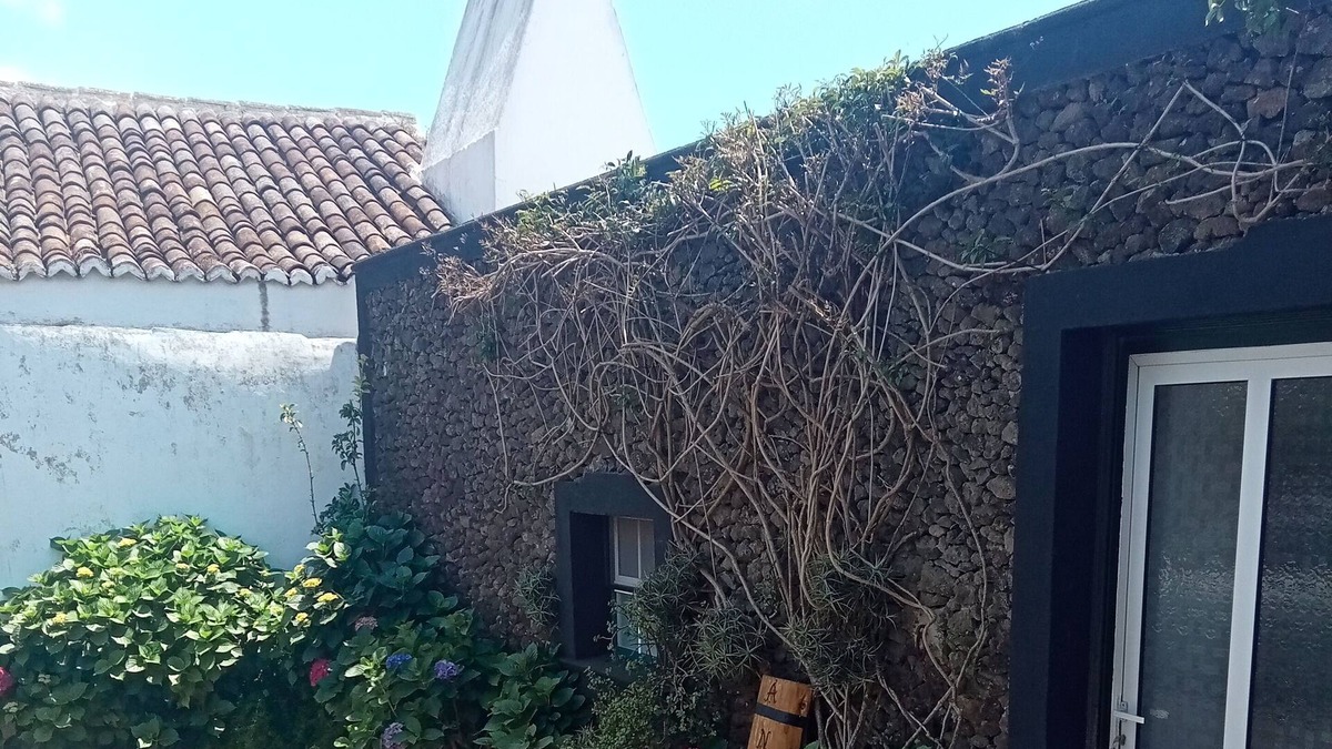 Angra do Heroismo Apartment | O Anexo, Situado na Calma e Simpática Freguesia Rural de Cinco Ribeiras