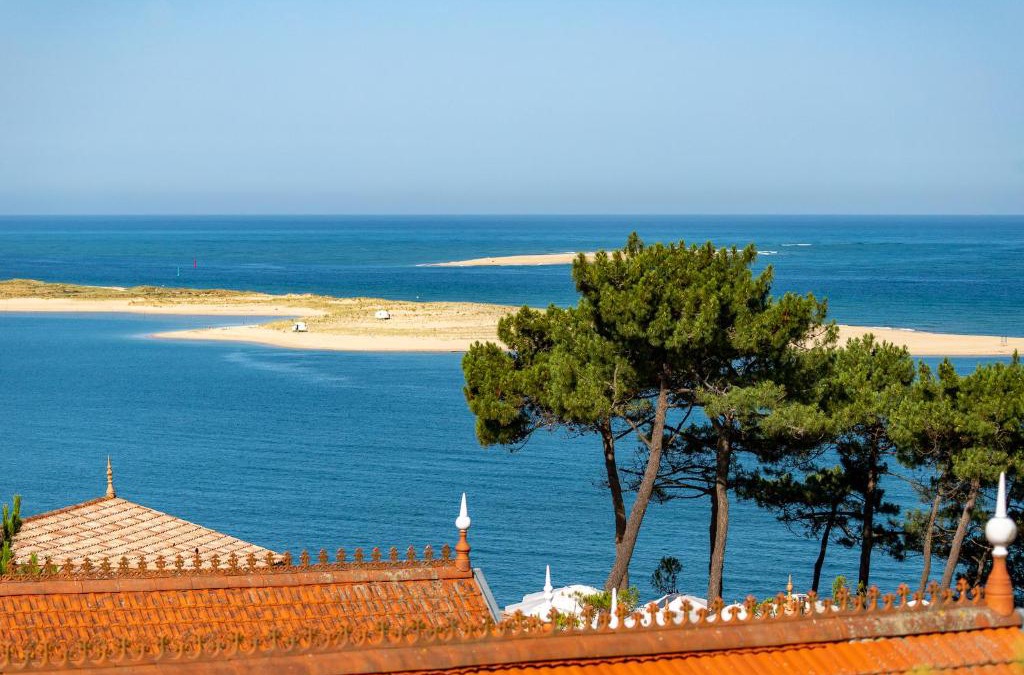 Pyla-sur-Mer Apartment | O'DYSSEE Appartement vue panoramique Bassin d'Arcachon