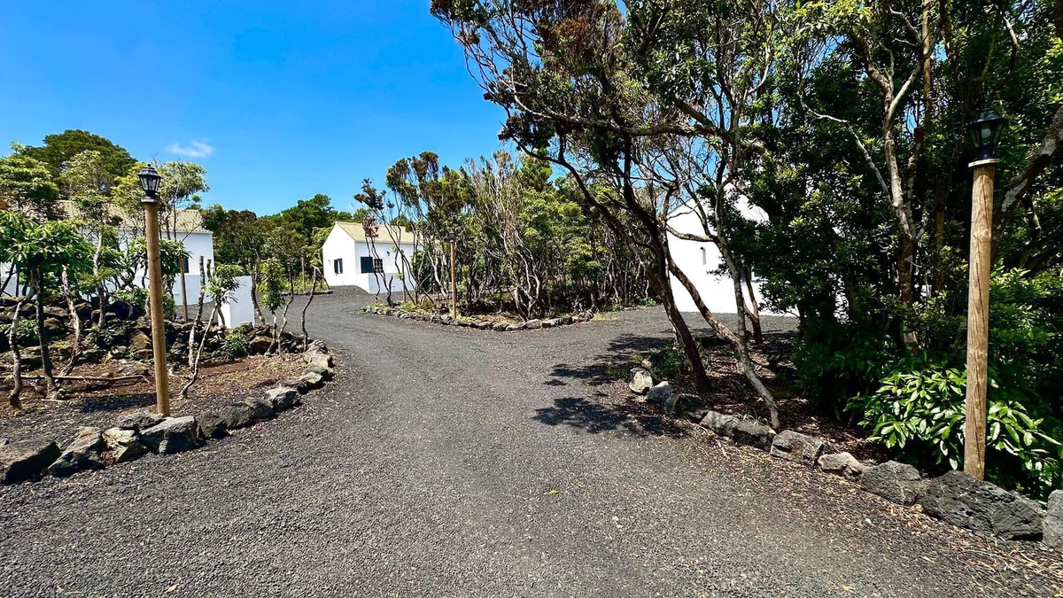 Madalena Villa | O Nosso Sitio