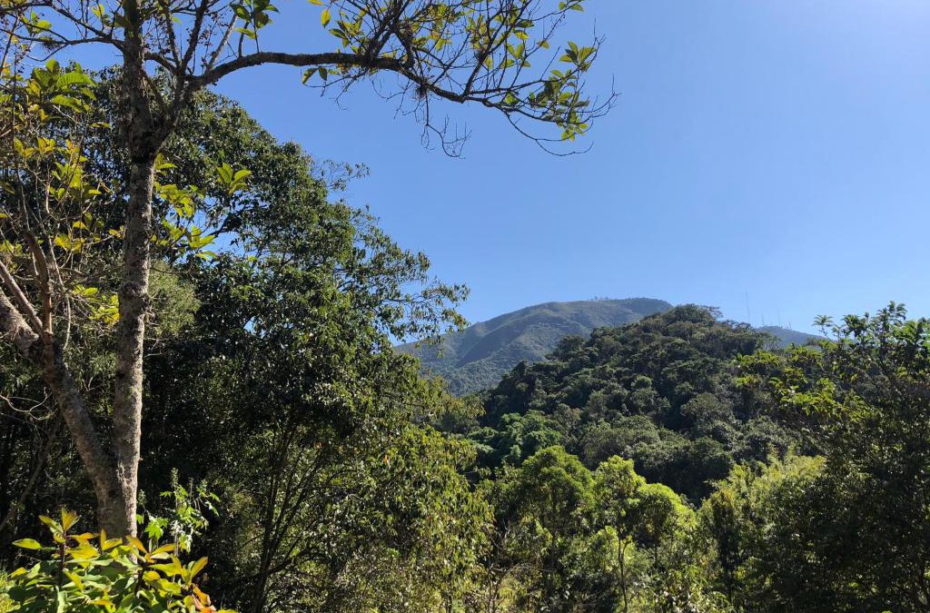 Aguas de Lindoia House | O Silêncio que Canta