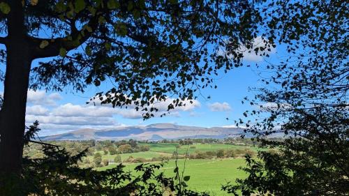 Knockaderry Cross Roads Apartment | Oak Forest Cottage